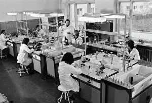 Clinical: Clinical diagnostics laboratory
