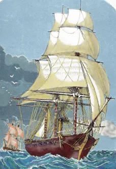 Clipper: Clipper. 19th century. Colored engraving