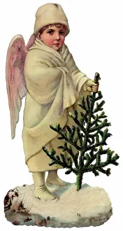 Cloaked: Cloaked Angel and Pine