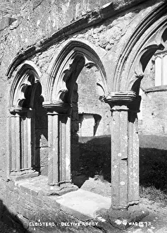 Cloisters: Cloisters, Bective Abbey