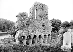 Cloisters: The Cloisters, Donegal Abbey