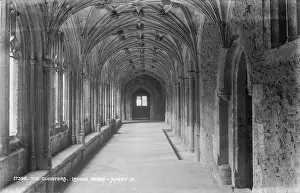 Cloisters: The Cloisters at Lacock Abbey