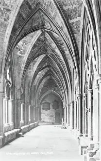 Ceilings: Cloisters of Westminster Abbey