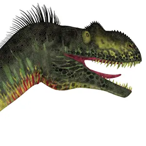 Megalosaurus: Close-up of a menacing Megalosaurus