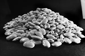 Legumes: Italy