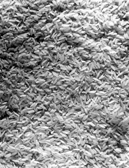 Carbohydrate: CLOSE-UP OF RICE