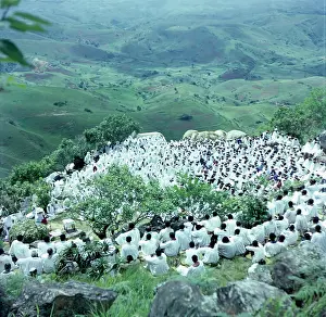 Pilgrimages: Closer view of the service. In the foreground are the