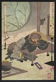 Raccoon: The clothes changing tea pot