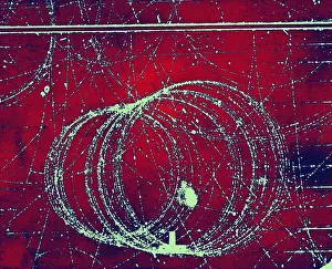 Detector: Cloud Chamber Event, Electron and Positron