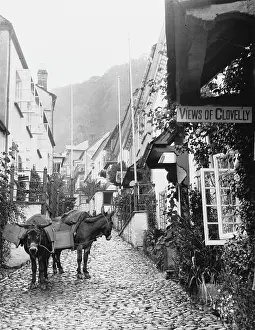 Clovelly: CLOVELLY