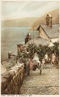 Panniers: Clovelly, Cornwall - Donkey on the cobbled path