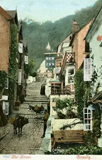 Clovelly: CLOVELLY/DEVON 1904