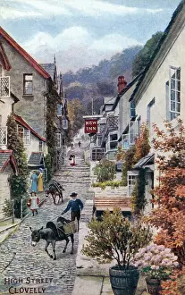 Clovelly: CLOVELLY, DEVON