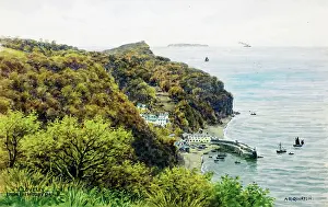 Clovelly: Clovelly, Devon, viewed from Hobby Drive