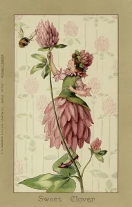 Faulkner: Clover fairy