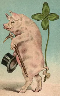 Paddys: Clover-Tailed Pig