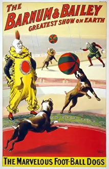 Marvelous: A clown perform with the marvelous foot-ball ?