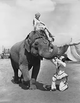 Circuses: CLOWNING AROUND