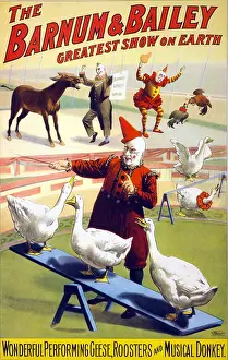 Roosters: Clowns perform with geese, roosters and ?