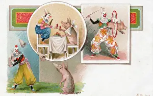The Andrew Jenkins Collection: Clowns and pigs
