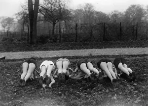Midinettes: Club des midinettes