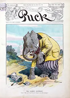 Clumsy: The clumsy elephant