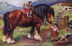 Derived: A Clydesdale at Home - Scottish draft horse