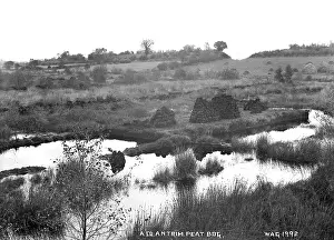 Peat: A Co. Antrim Peat Bog