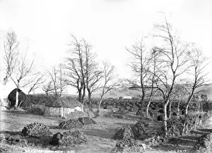 Stacks: A Co. Fermanagh Bog
