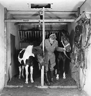 Droshky: Coach horses in Amsterdam during the Second World War
