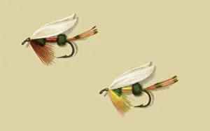 Atherton: Coachman Flies - Wet