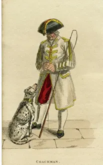 Trusty: COACHMAN'S DALMATIAN