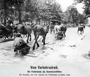 Strikes: Coachmen use the feeding boxes of the horses