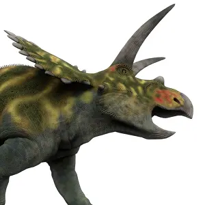 Close Up: Coahuilaceratops dinosaur, side view