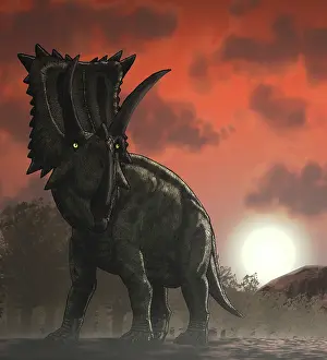 Coahuilaceratops: Coahuilaceratops walking through a Cretaceous sunset