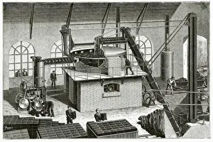 Compressed: COAL/COMPRESSED FUELS