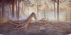 Palaeozoic: Coal forest diorama