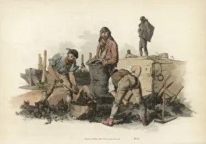 Shovels: Coal Heavers
