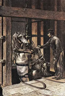Creusot: Coal - Horse - Le Creusot