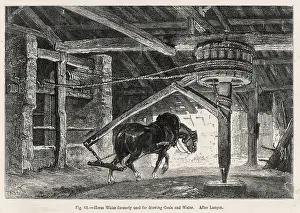 Whim: Coal - Horse Works Whim