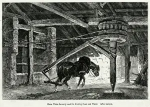 Whim: Coal - Horse Works Whim