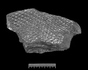 Kenrick: Coal, from the late carboniferous
