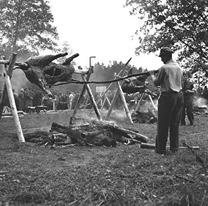 Censored: Coal miners roast oxen
