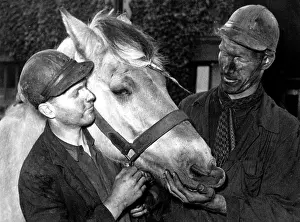 Wirtschaft: Coal mining - Mine horse