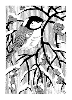 Sykes: Coal Tit and Berries