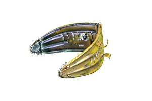 Grips: Coal Tongs