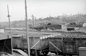Paddington: Coal trucks - Western region