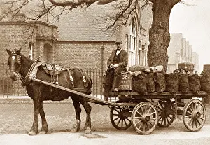 Coalman: Coalman delivery coal