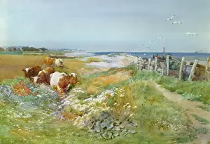 Seagulls: On the Coast, Littlehampton in the distance