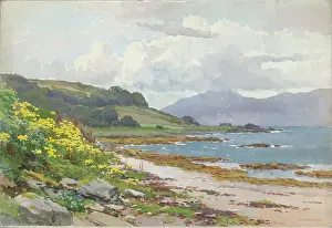 Arran: Coastal landscape in Argyll